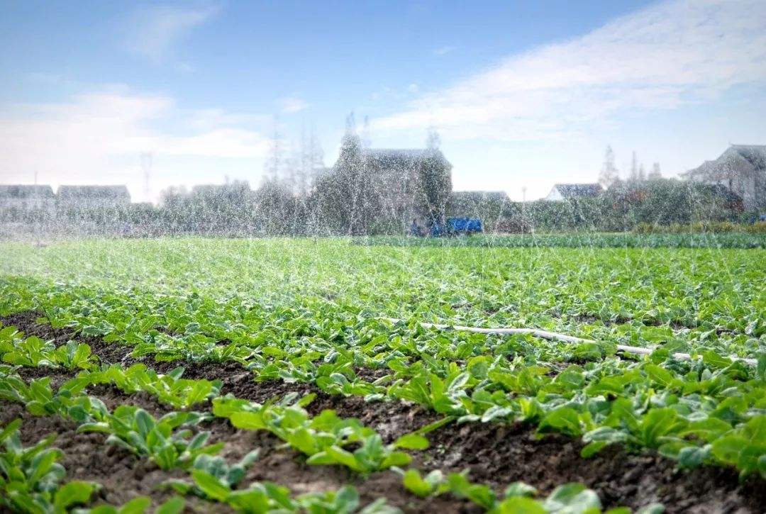 ˮ��һ�w��ϵ�y(t��ng)